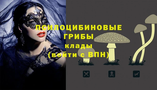 хмурый Гусь-Хрустальный