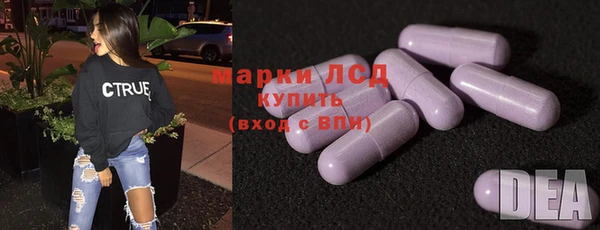 spice Горняк