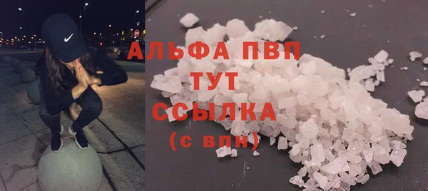 хмурый Гусь-Хрустальный