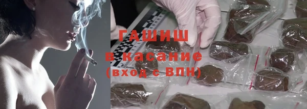 хмурый Гусь-Хрустальный