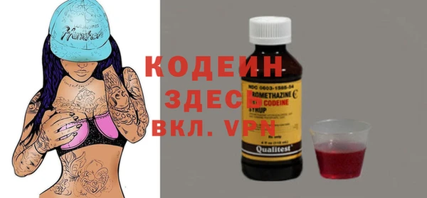 хмурый Гусь-Хрустальный