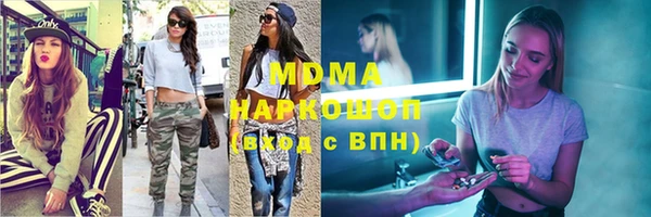 хмурый Гусь-Хрустальный