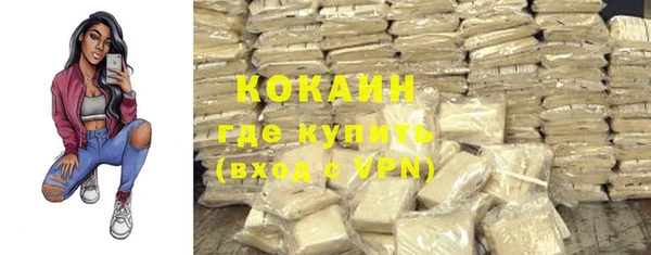 хмурый Гусь-Хрустальный