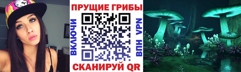 продажа наркотиков  MEGA зеркало  Псилоцибиновые грибы Psilocybe  Ельня 